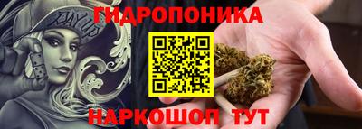 стаф Краснодар