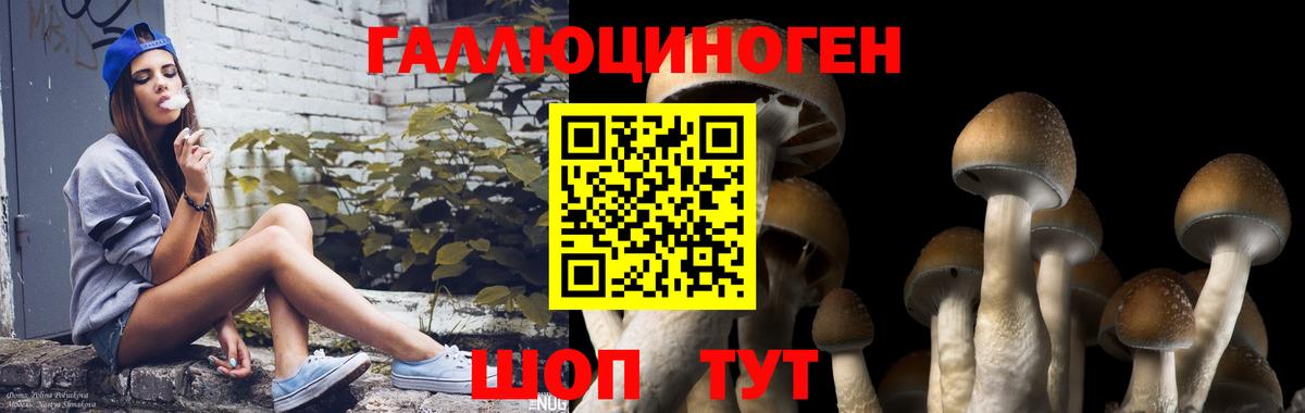 Псилоцибиновые грибы ЛСД  Галлюциногенные грибы GOLDEN TEACHER  наркотики  Джанкой  Вход с VPN 